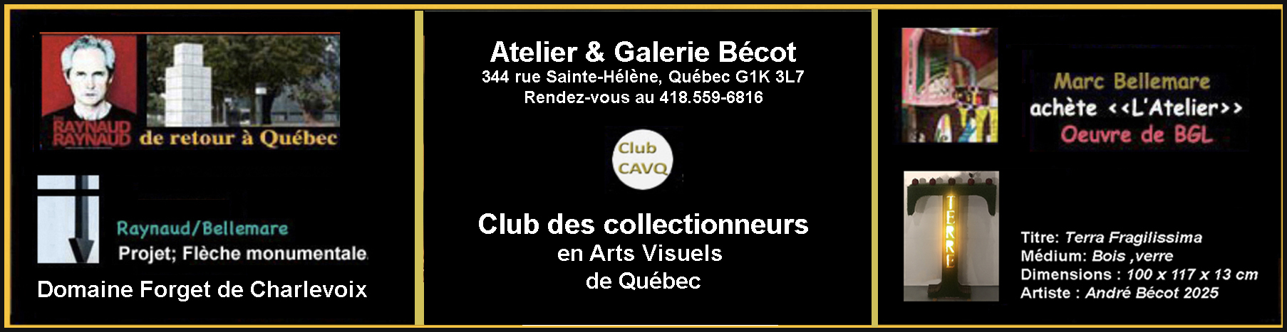 Club des collectionneurs en Arts Visuels de Québec